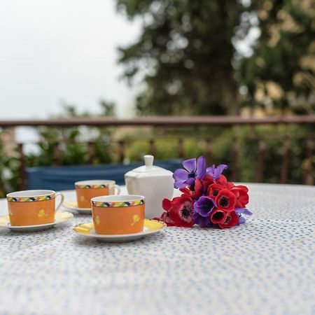 Apartment Urban Garden リエカ エクステリア 写真