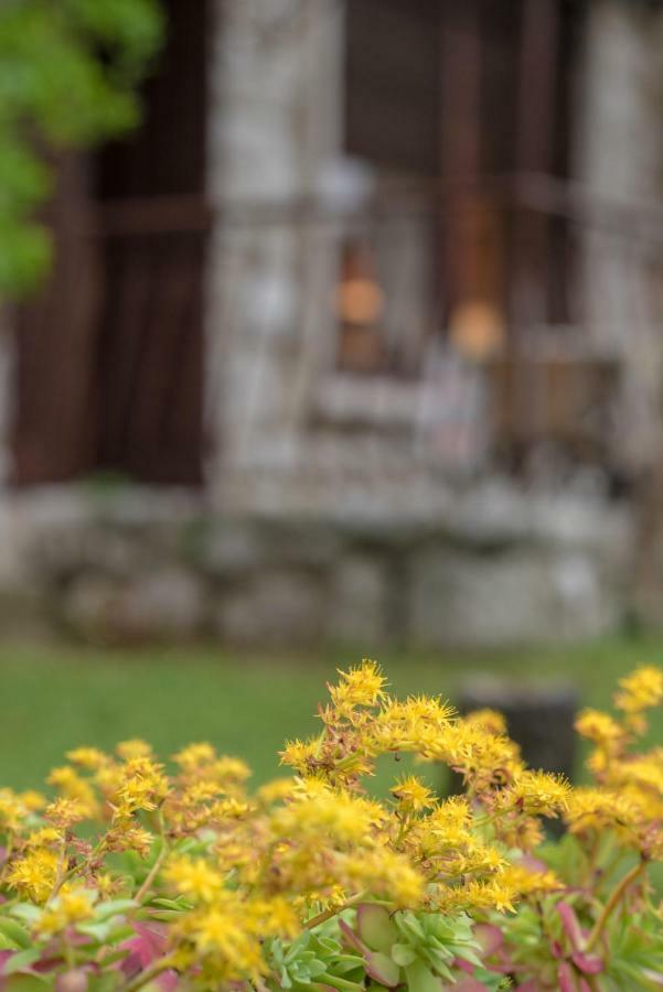 Apartment Urban Garden リエカ エクステリア 写真